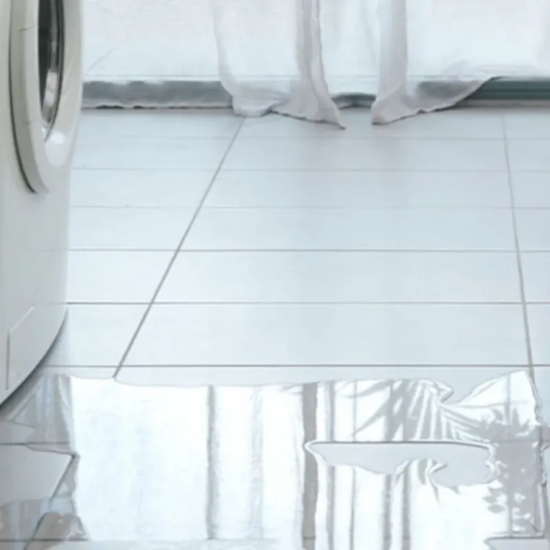 Appliance Leak Cleanup in Manatee Road, FL