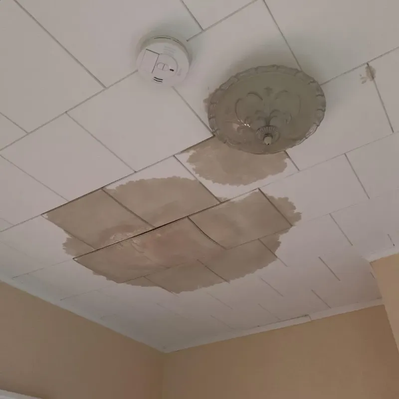 Ceiling Water Damage Repair in Manatee Road, FL